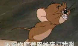 最新爆料老鼠,老鼠生成背后的科技秘密与伦理争议